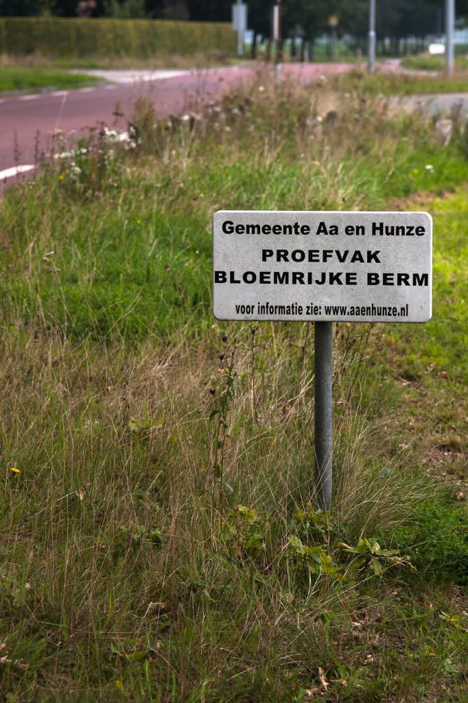 Flowerly roadside